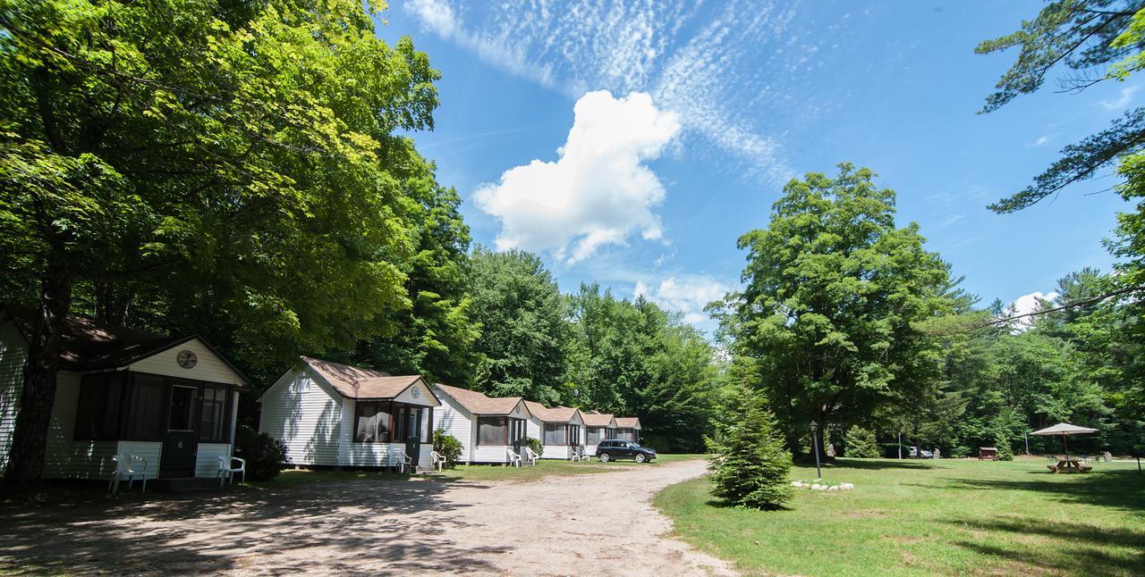 Profile Motel & Cottages Lincoln Exterior foto